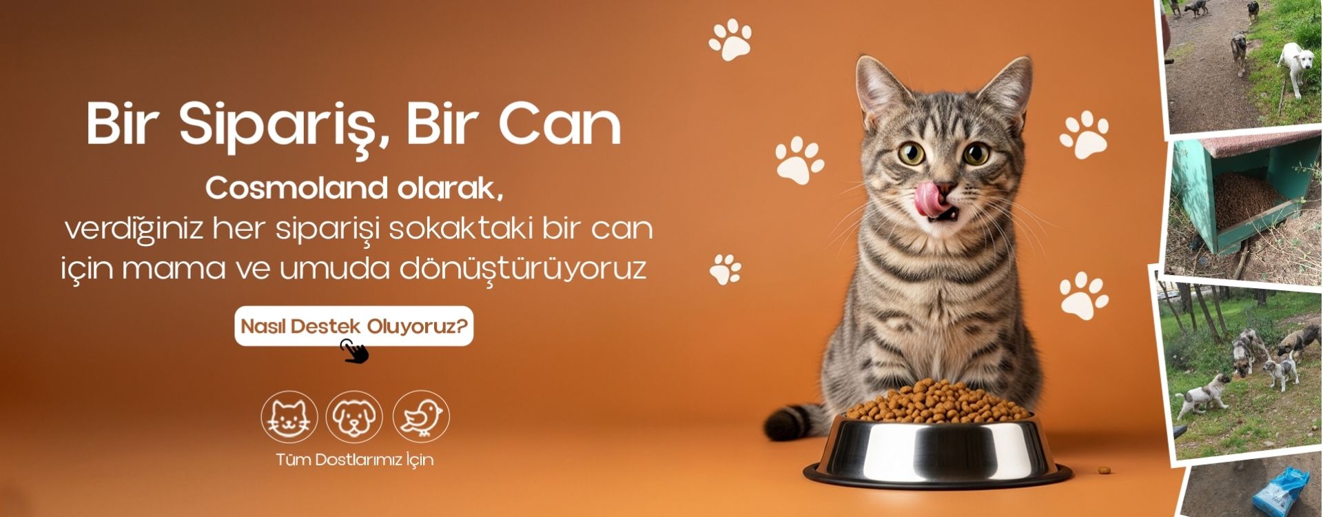 Bir Sipariş, Bir Can
