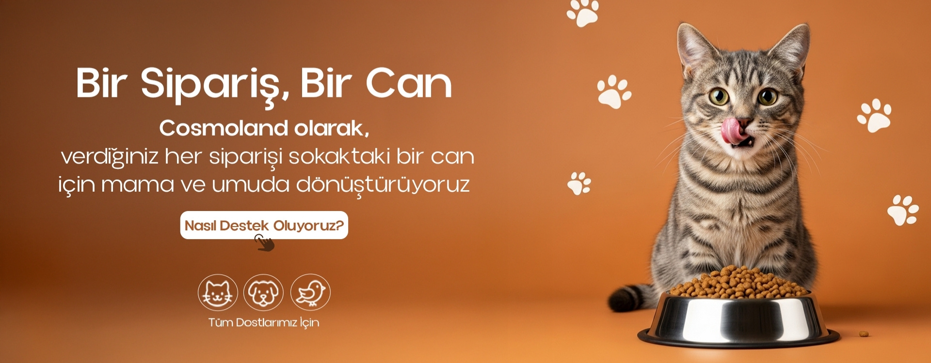 Sosyal Sorumluluk Projesi