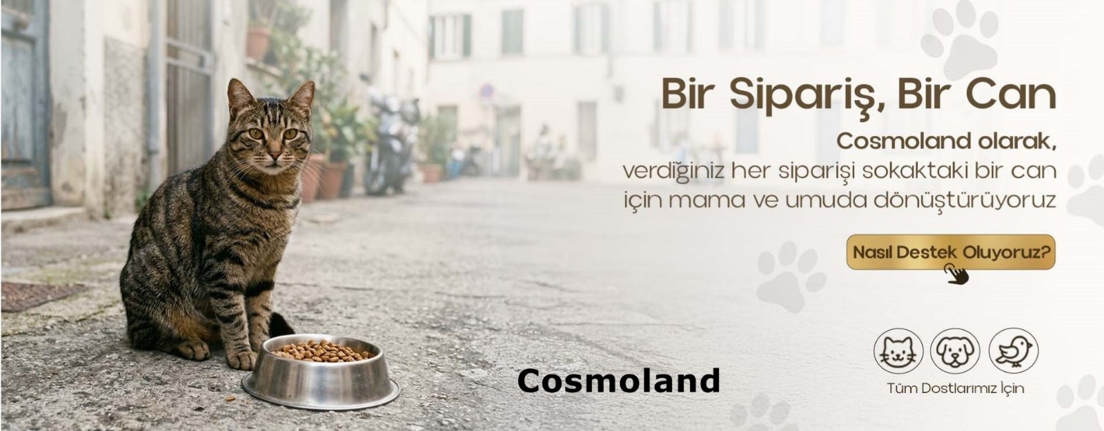 Sosyal Sorumluluk Projesi